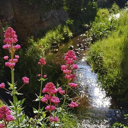 Appartement Entier Chauvigny Esterno foto
